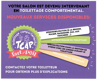 Certification TCAP L'Art au Poil - Les 6'Os d'Or devient intervenant en toilettage comportemental : désensibilisation, apprentissage du toilettage, gestion du stress, rééducation au toilettage