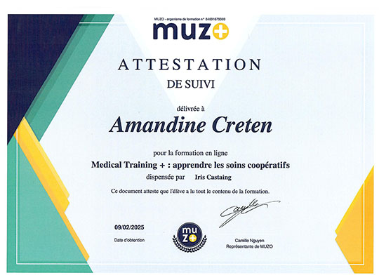 Certificat Medical Training - Muzo+, février 2025