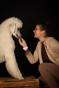 Salon de toilettage pour chien à Sinsin, Somme-Leuze 5377